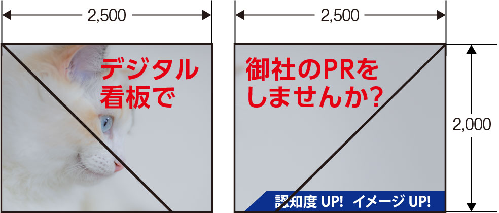トウキョウビルボードのサイズ